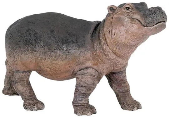 Papo La vie sauvage 50052 : Bébé hippopotame