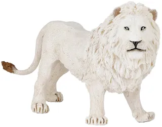 Lion blanc