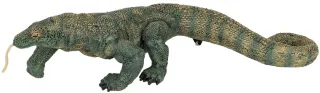 Dragon de Komodo