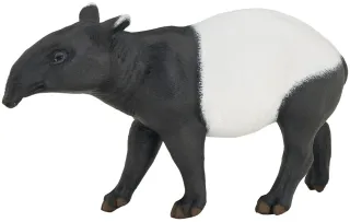 Tapir