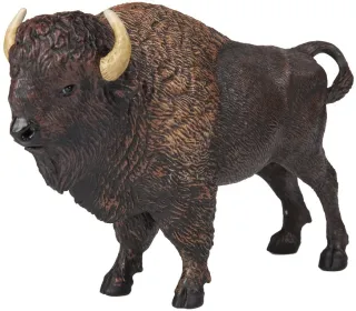 Bison d&#039;Amérique