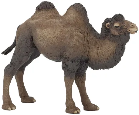 Papo La vie sauvage 50129 : Chameau de Bactriane