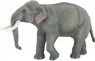 Éléphant d&#039;Asie