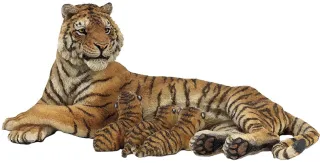 Tigresse couchée allaitant