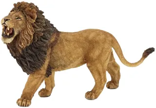 Lion rugissant
