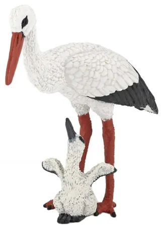 Cigogne et son bébé