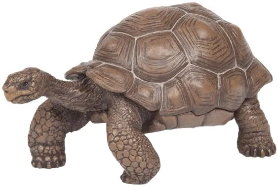 Papo La vie sauvage 50161 : Tortue des Galápagos