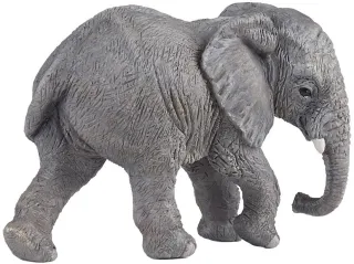 Jeune éléphant d&#039;Afrique