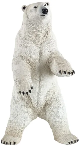 Ours polaire debout