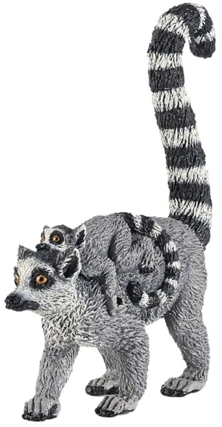 Lémurien et son bébé