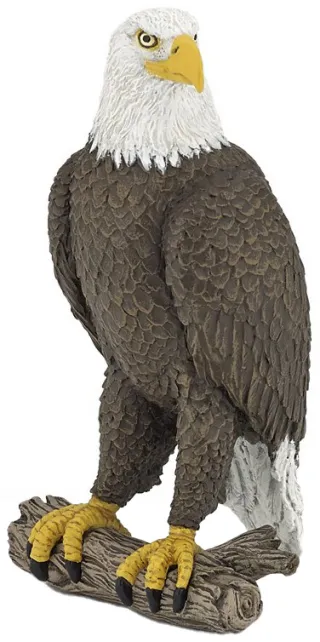 Pygargue à tête blanche