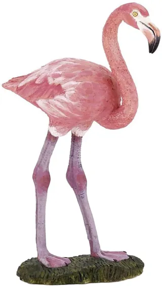 Flamant rose