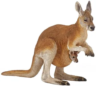 Kangourou et son bébé