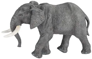 Éléphant d&#039;Afrique