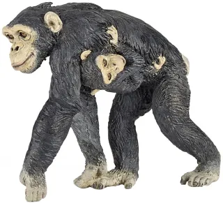 Chimpanzé et son bébé