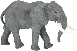 Grand éléphant d&#039;Afrique