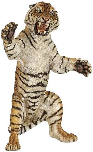 Tigre debout