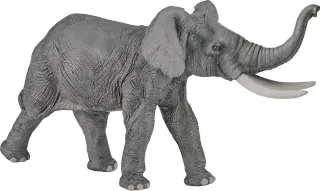 Éléphant
