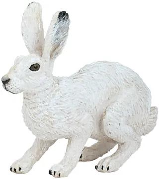 Lièvre polaire