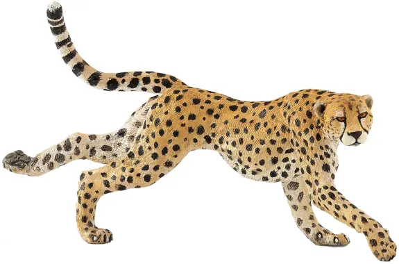 Papo La vie sauvage 50238 : Guépard courant
