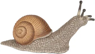 Escargot