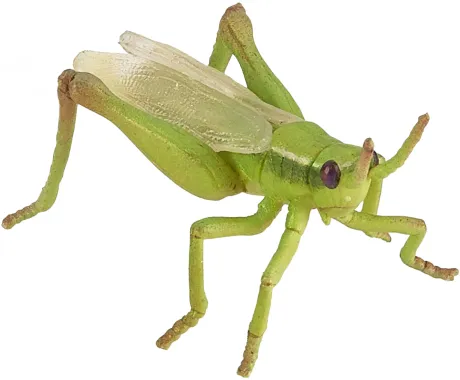 Papo Animaux des jardins 50268 : Sauterelle