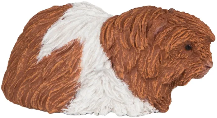 Papo La vie sauvage 50276 : Cochon d&#039;Inde