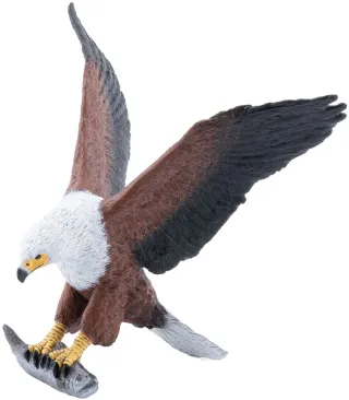 Aigle pêcheur d&#039;Afrique