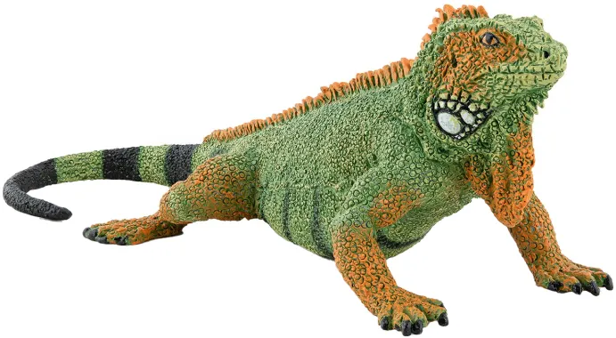 Papo La vie sauvage 50306 : Iguane