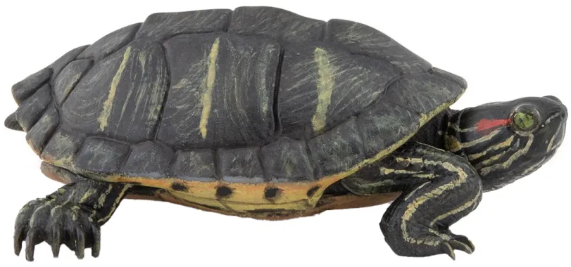 Papo La vie sauvage 50309 : Tortue de Floride