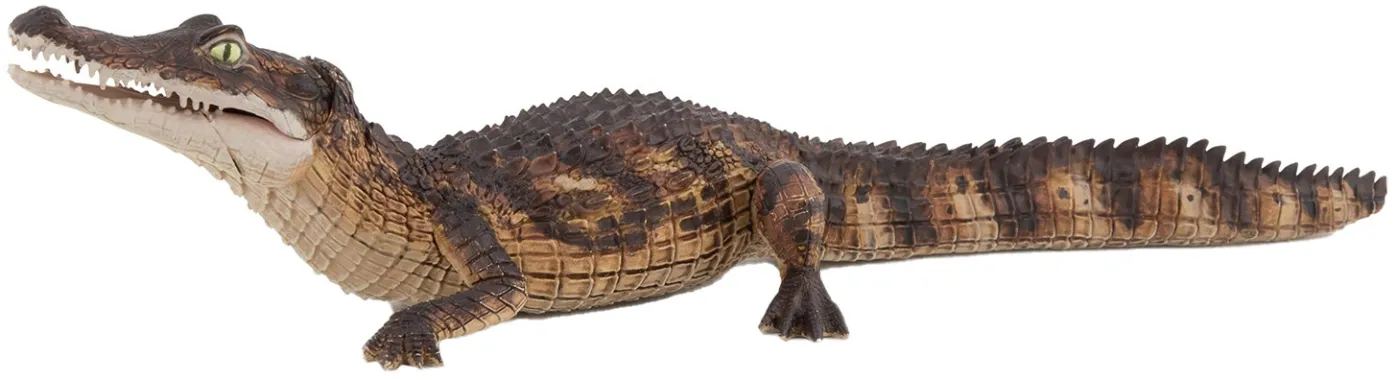 Papo La vie sauvage 50311 : Caïman