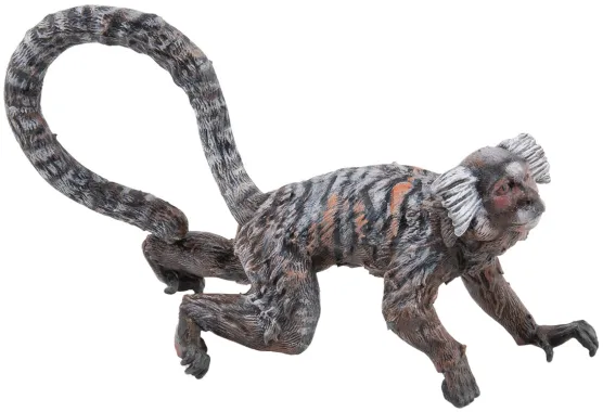 Papo La vie sauvage 50313 : Ouistiti