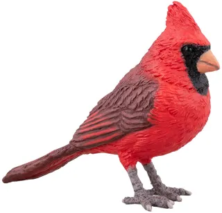 Cardinal rouge