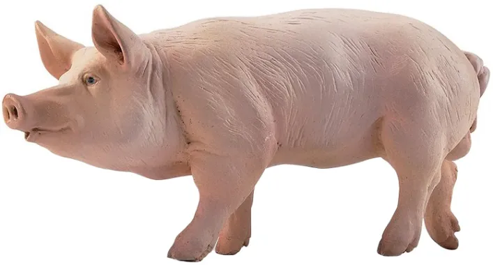 Papo La vie à la ferme 51044 : Verrat