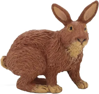 Lapin marron