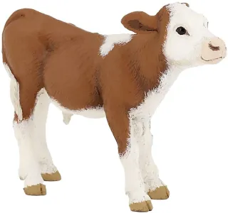 Veau Simmental