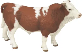 Taureau Simmental
