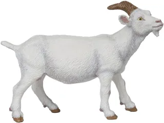 Chèvre blanche