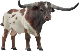 Taureau Longhorn