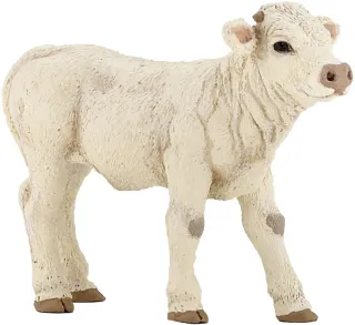 Veau Charolais