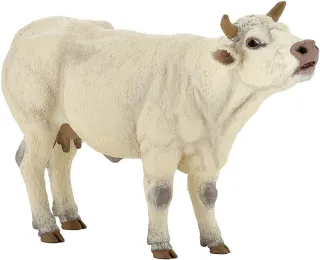 Vache Charolaise meuglant