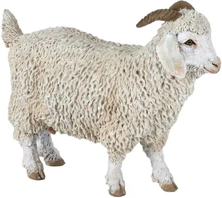 Chèvre angora