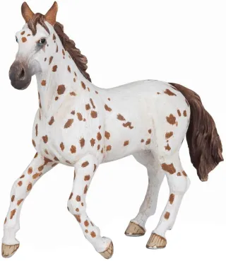 Jument Appaloosa brune