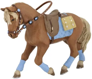 Cheval du jeune cavalier