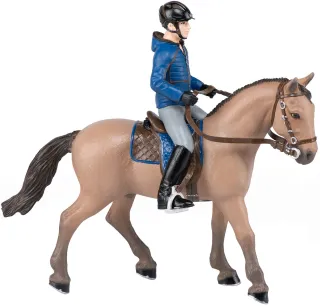 Cheval de promenade et son cavalier