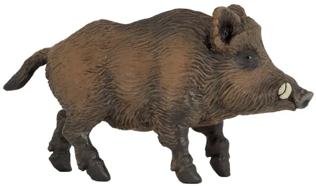 Papo La vie sauvage 53011 : Sanglier