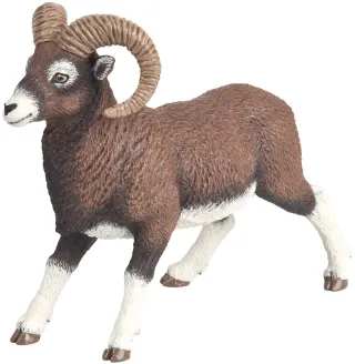 Mouflon