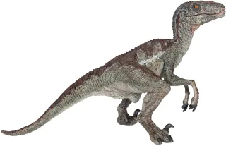 Vélociraptor