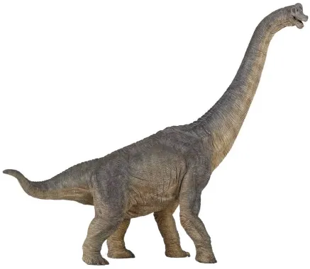 Papo Les dinosaures 55030 : Brachiosaure