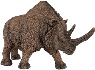 Rhinocéros laineux